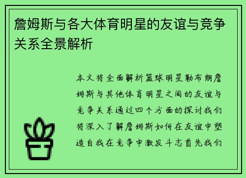 詹姆斯与各大体育明星的友谊与竞争关系全景解析